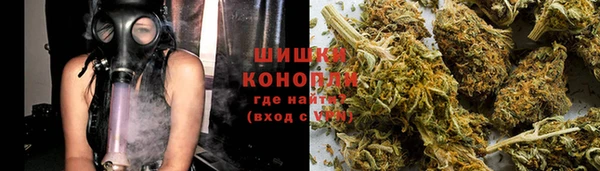 прущие крисы Алзамай
